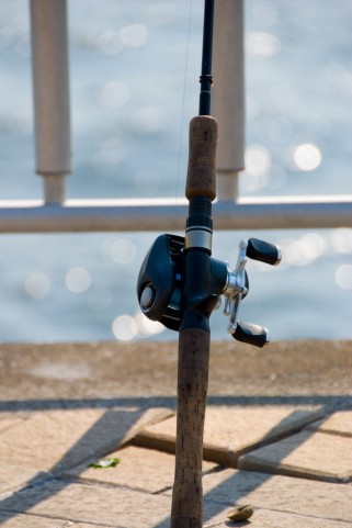 冬のメバル・ライトゲーム（堤防釣り）